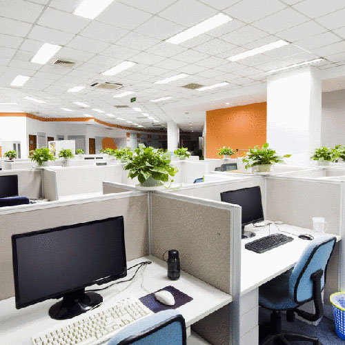 Company News