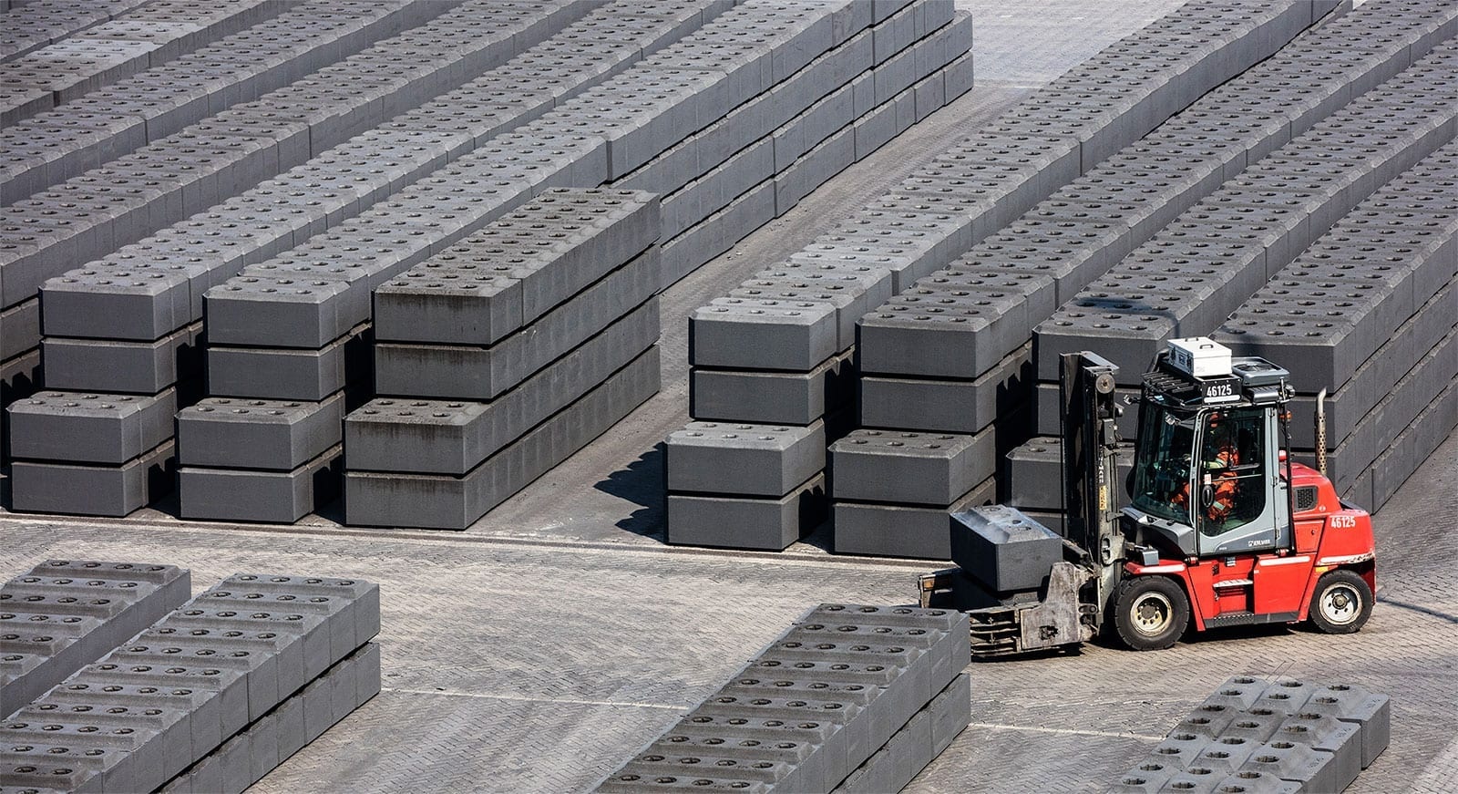 소성 탄소 양극